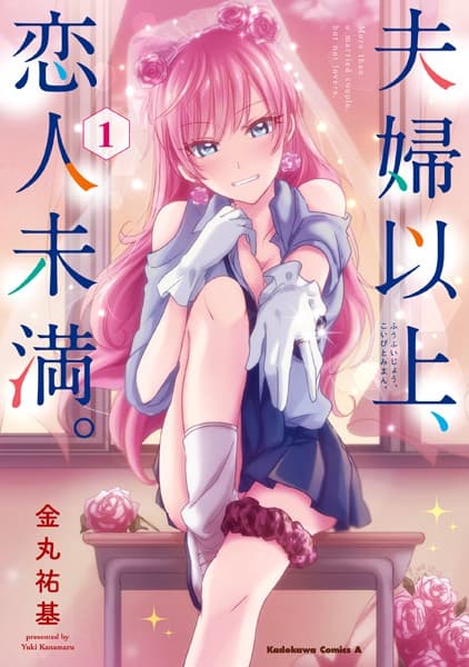 夫婦以上、恋人未満。 の表紙