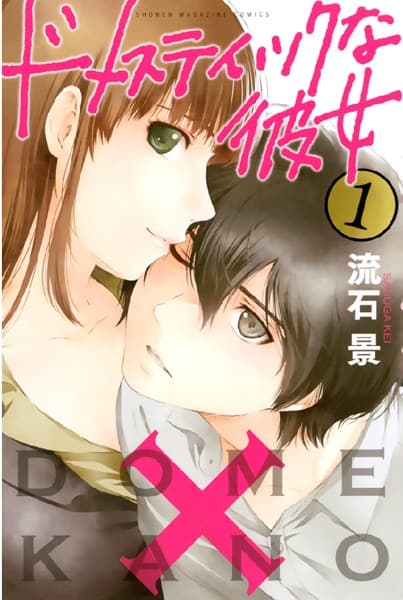 ドメスティックな彼女 の表紙