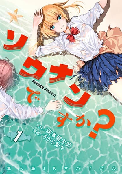ソウナンですか? の表紙